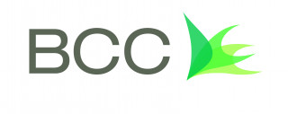 BCC - Business Communications Consulting logo